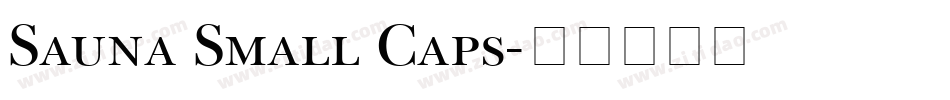Sauna Small Caps字体转换